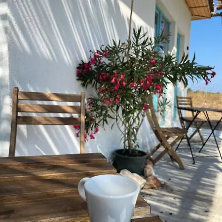 Mediterana Bungalows *